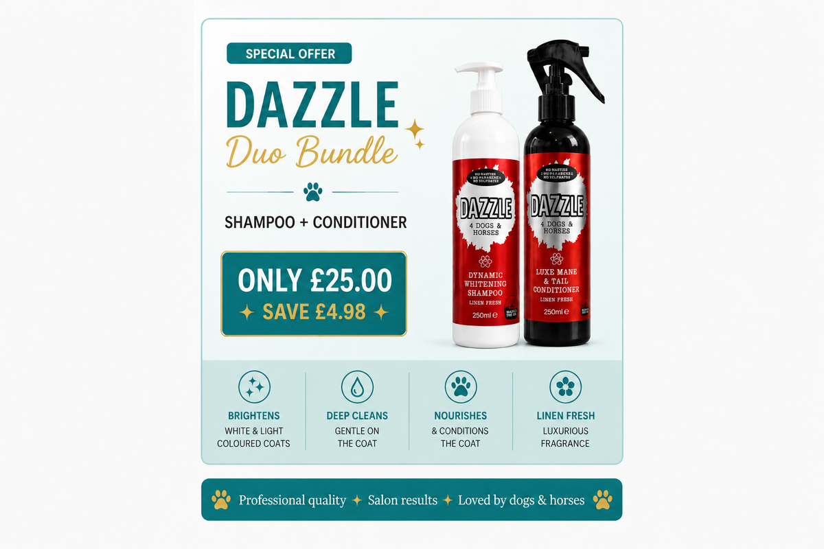 Dazzle Duo Bundle